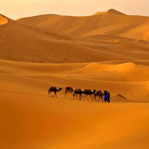 SAHARA4 MOROCCO CIRCUIT (10 DAYS, 10 NIGHTS)