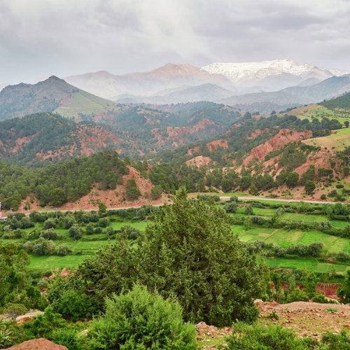 Untitled design (4) IMPERIAL MOROCCO (5 DAYS, 4 NIGHTS)
