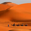 MOROCCO CIRCUIT (10 DAYS, 10 NIGHTS)